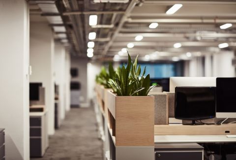 5 Reasons Why Your Office Should Hire a Cleaning Contractor